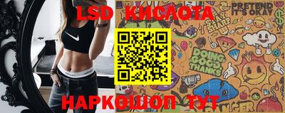 шишки Беслан