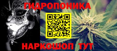 Альфа ПВП Бийск