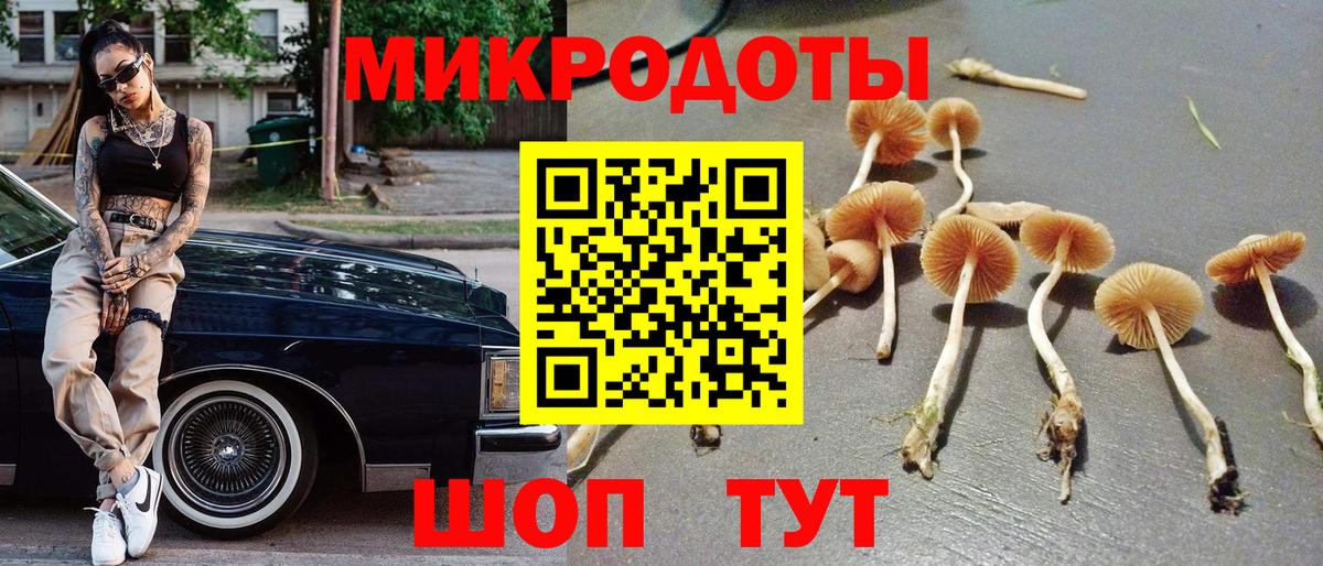 Псилоцибиновые грибы MAGIC MUSHROOMS Касимов