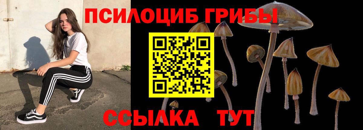 Касимов  Галлюциногенные грибы мицелий  Вход с VPN 